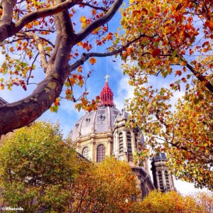 L'automne / Paris