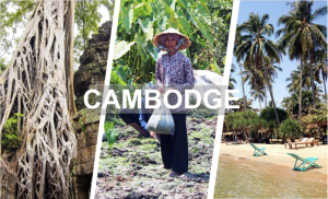 Cambodge en photos