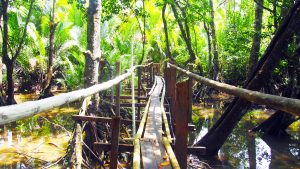 Port Barton foret philippines