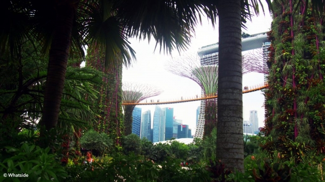 Gardens by the bay - singapour