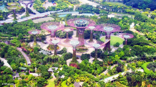 Vue sur Gardens by the bay - Singapour