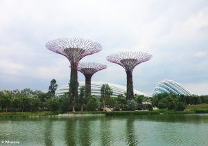 Gardens by the bay - Singapour