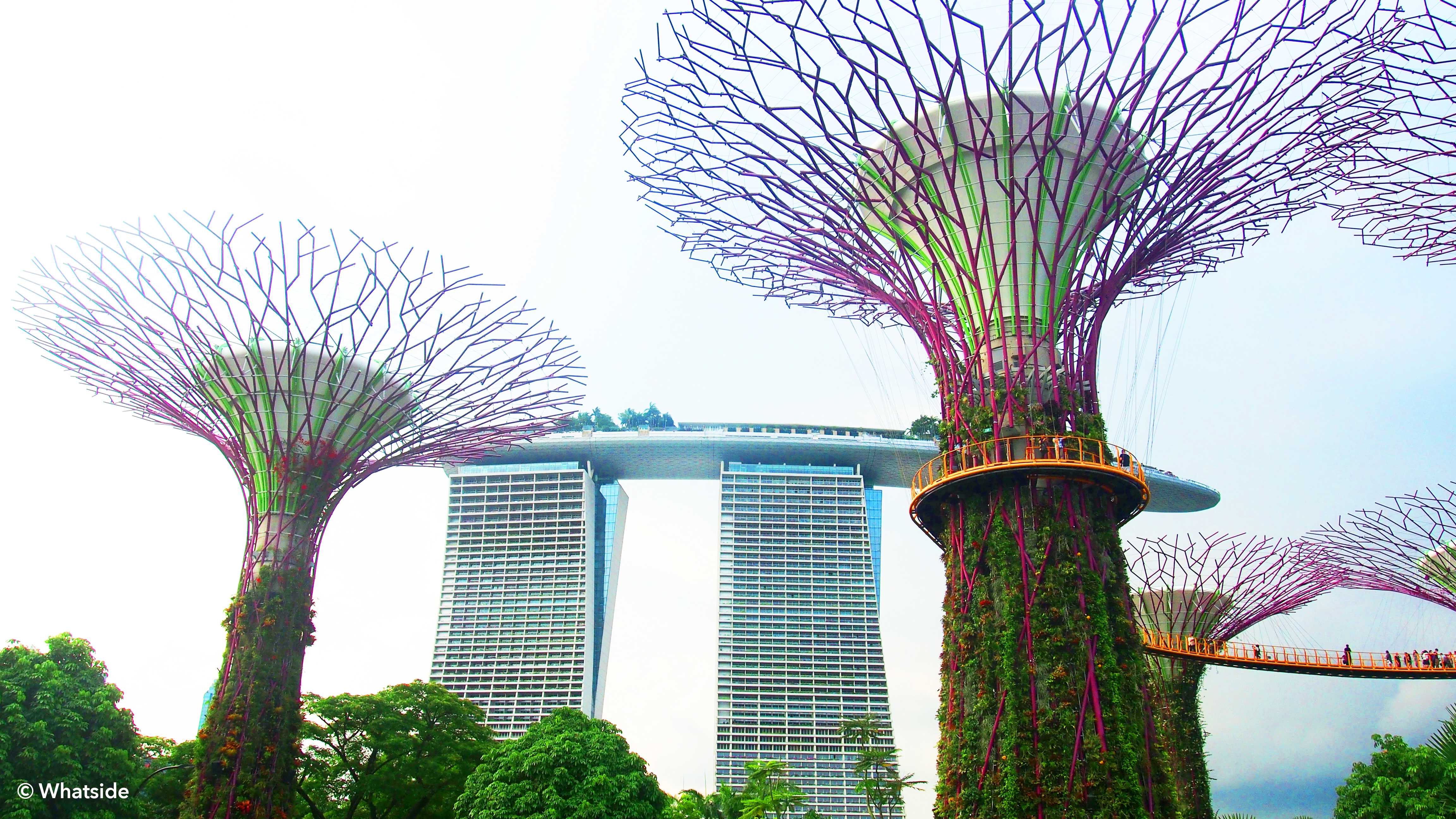 Gardens by the bay - Singapour