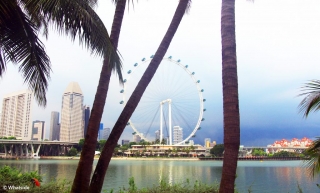 Singapour flyer - Singapour