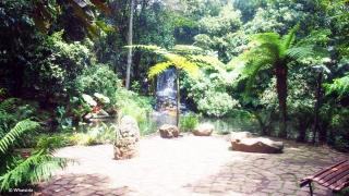 Jardin botanique de Bogota