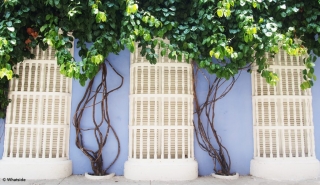 Les couleurs de Carthagènes