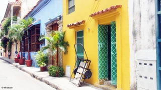 Les couleurs de Carthagènes