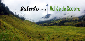 Salento et la vallée de Cocora