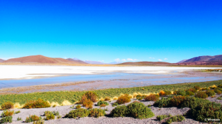 La Laguna Colorado du Sud Lipez