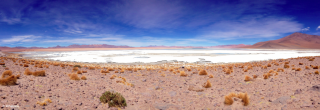 La Laguna du Sud Lipez