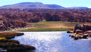 La Laguna Negra du Sud Lipez