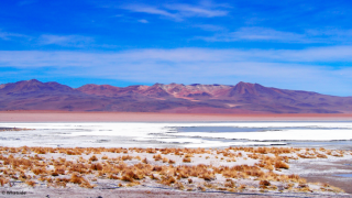 Les lagunes gelées du Sud Lipez