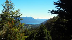 Parc national El Cani Chili Pucon