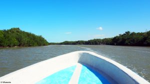 Bateau Rio Lagartos