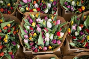 marché aux fleurs amsterdam