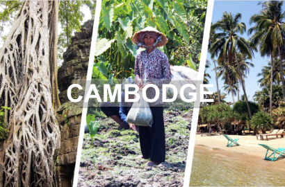 Cambodge en photos